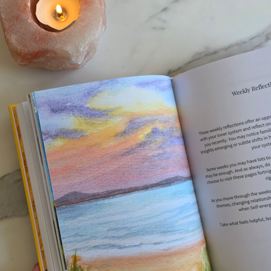 The IFS Parts Journal