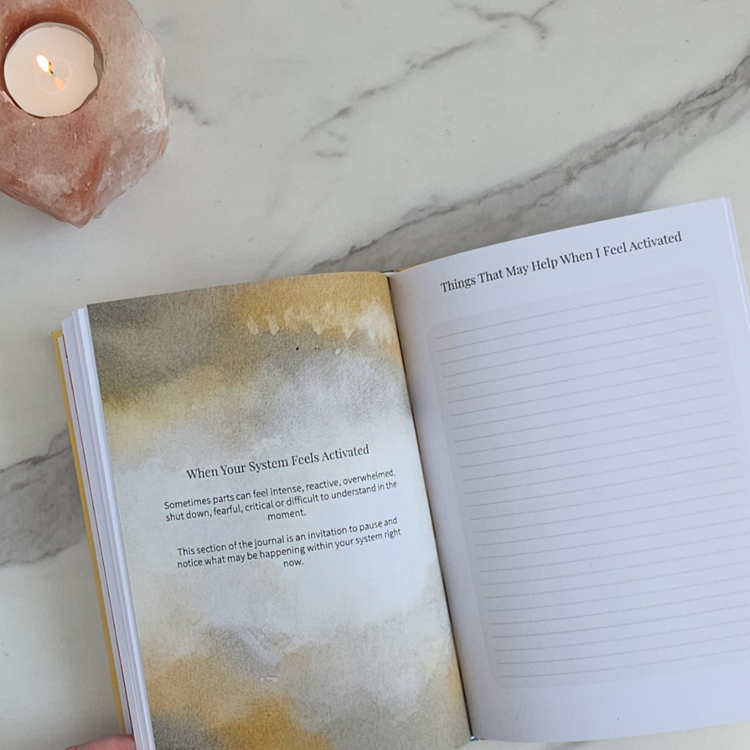 The IFS Parts Journal